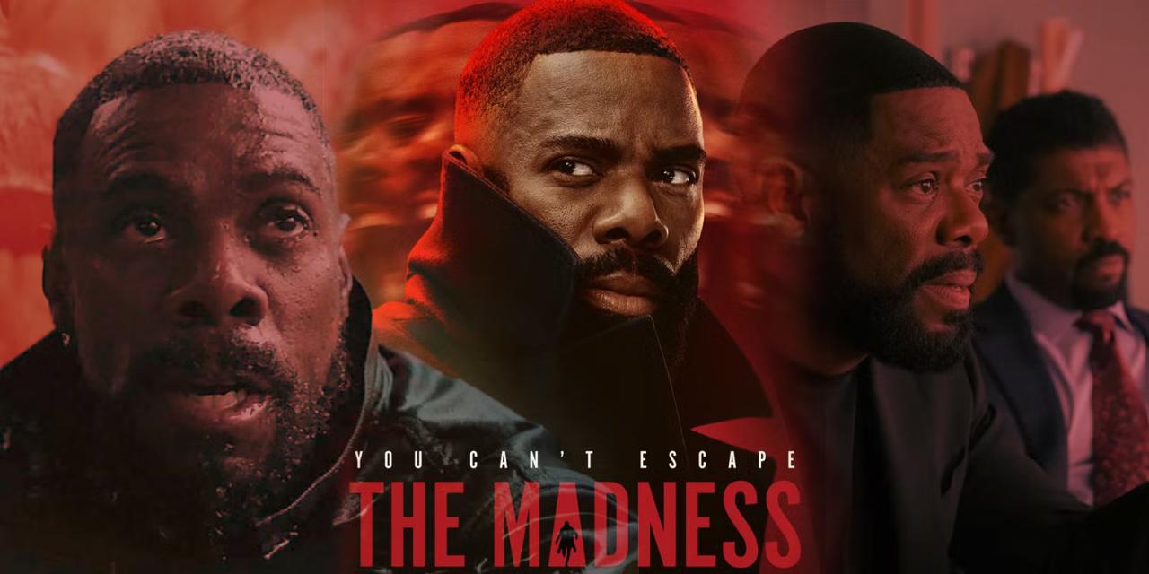 مسلسل The Madness